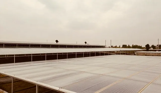 装饰改装中美容清洗的服务质量提升路径